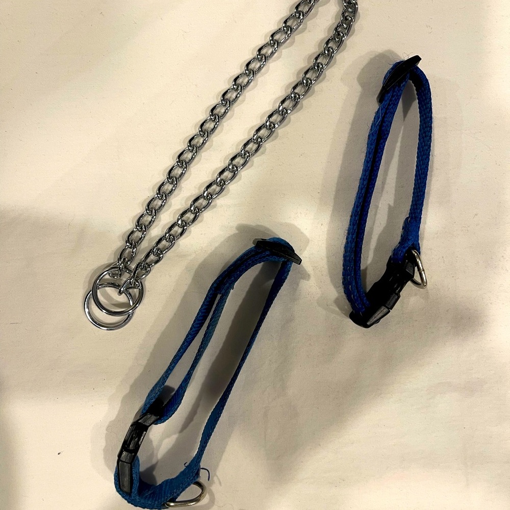 Multiple dog collars - Picture 2 of 2